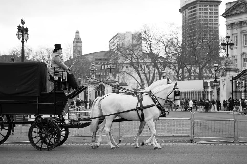 Description of photo 1